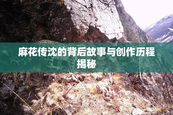 麻花传沈的背后故事与创作历程揭秘