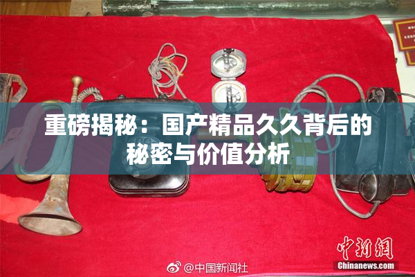 重磅揭秘：国产精品久久背后的秘密与价值分析
