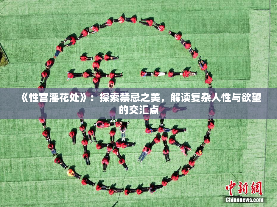 《性宫淫花处》：探索禁忌之美，解读复杂人性与欲望的交汇点