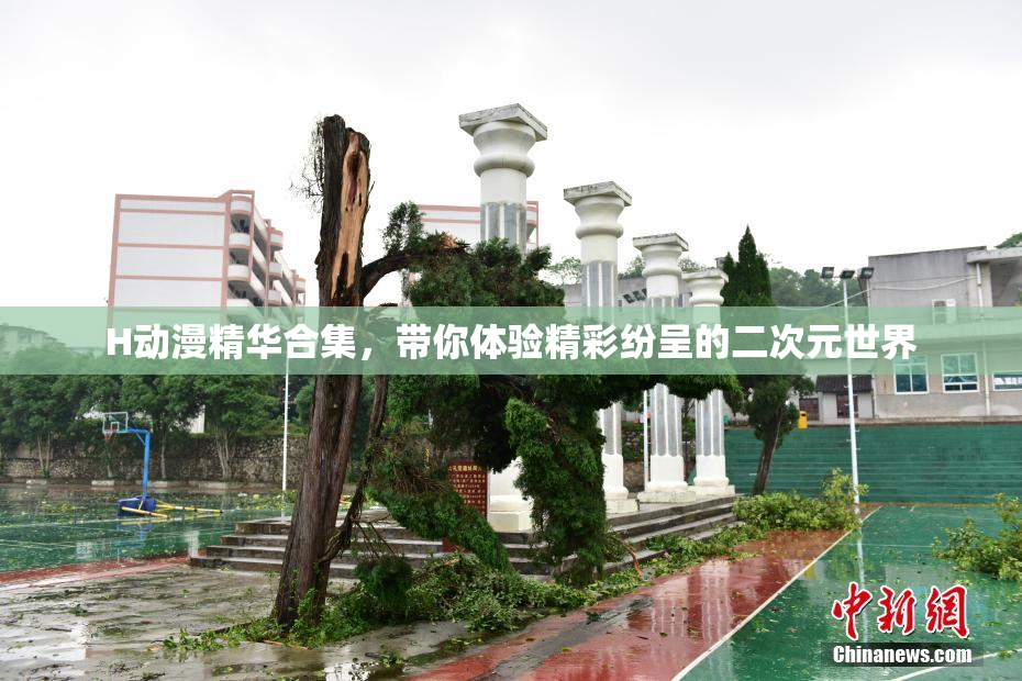 H动漫精华合集，带你体验精彩纷呈的二次元世界