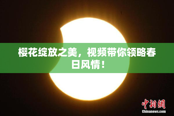 樱花绽放之美，视频带你领略春日风情！