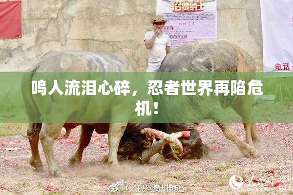 鸣人流泪心碎，忍者世界再陷危机！