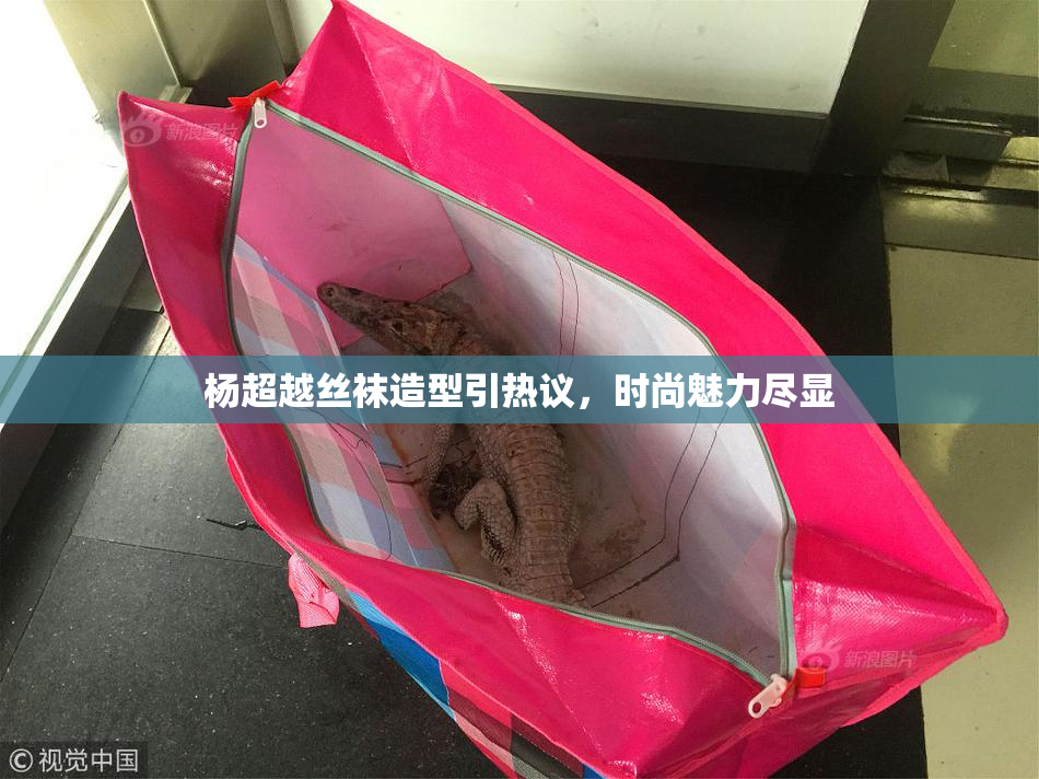 杨超越丝袜造型引热议，时尚魅力尽显
