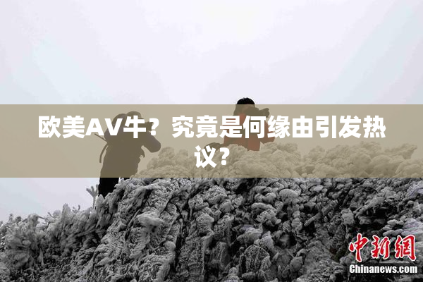 欧美AV牛？究竟是何缘由引发热议？