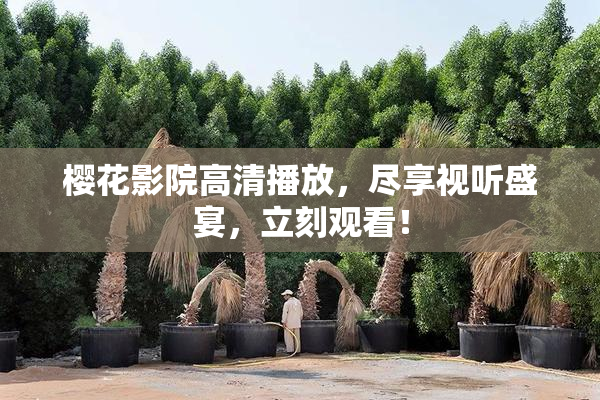 樱花影院高清播放，尽享视听盛宴，立刻观看！