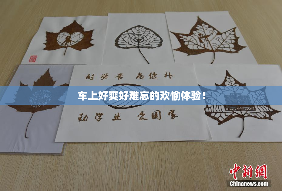 车上好爽好难忘的欢愉体验！