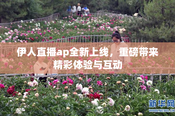 伊人直播ap全新上线，重磅带来精彩体验与互动