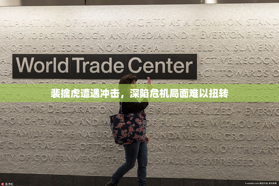 裴擒虎遭遇冲击，深陷危机局面难以扭转