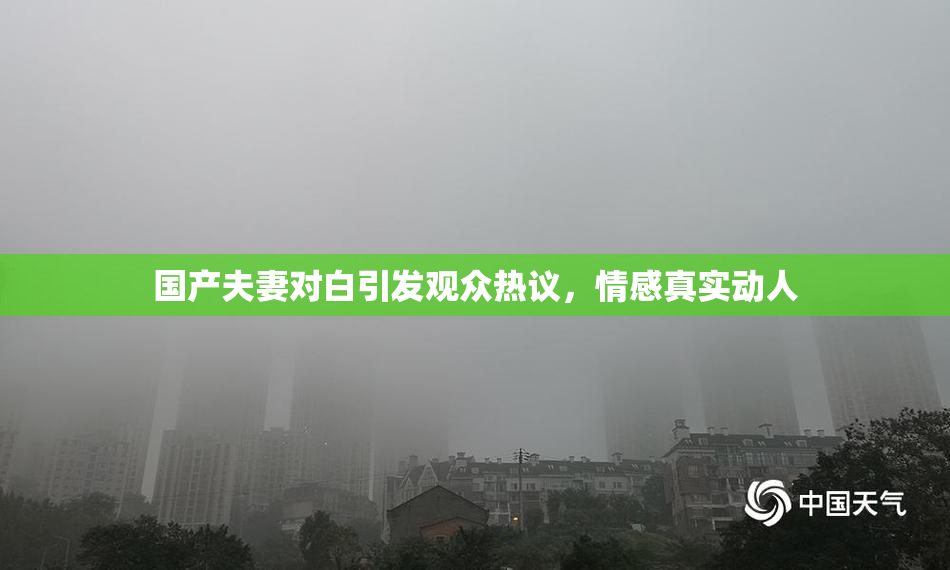 国产夫妻对白引发观众热议，情感真实动人