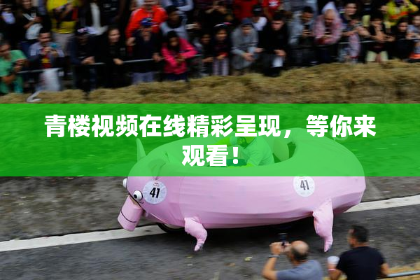 青楼视频在线精彩呈现，等你来观看！