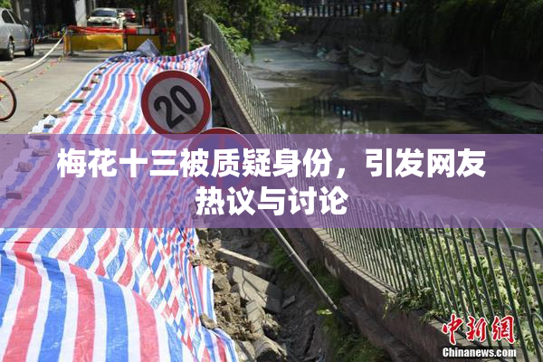 梅花十三被质疑身份，引发网友热议与讨论