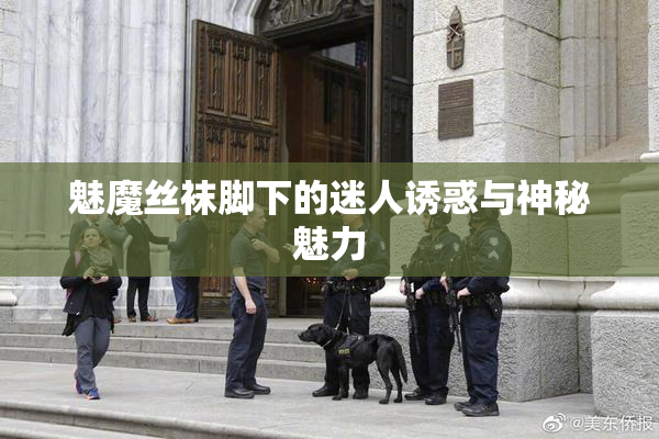 魅魔丝袜脚下的迷人诱惑与神秘魅力