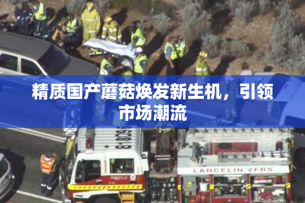 精质国产蘑菇焕发新生机，引领市场潮流
