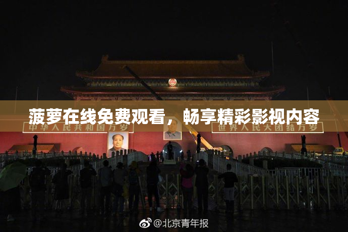 菠萝在线免费观看，畅享精彩影视内容