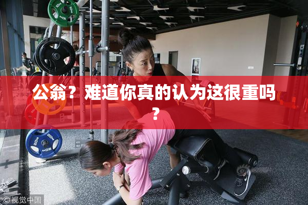公翁？难道你真的认为这很重吗？