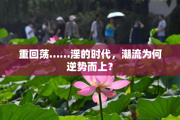 重回荡……淫的时代，潮流为何逆势而上？