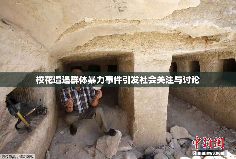 校花遭遇群体暴力事件引发社会关注与讨论
