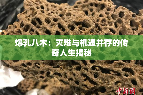 爆乳八木：灾难与机遇并存的传奇人生揭秘