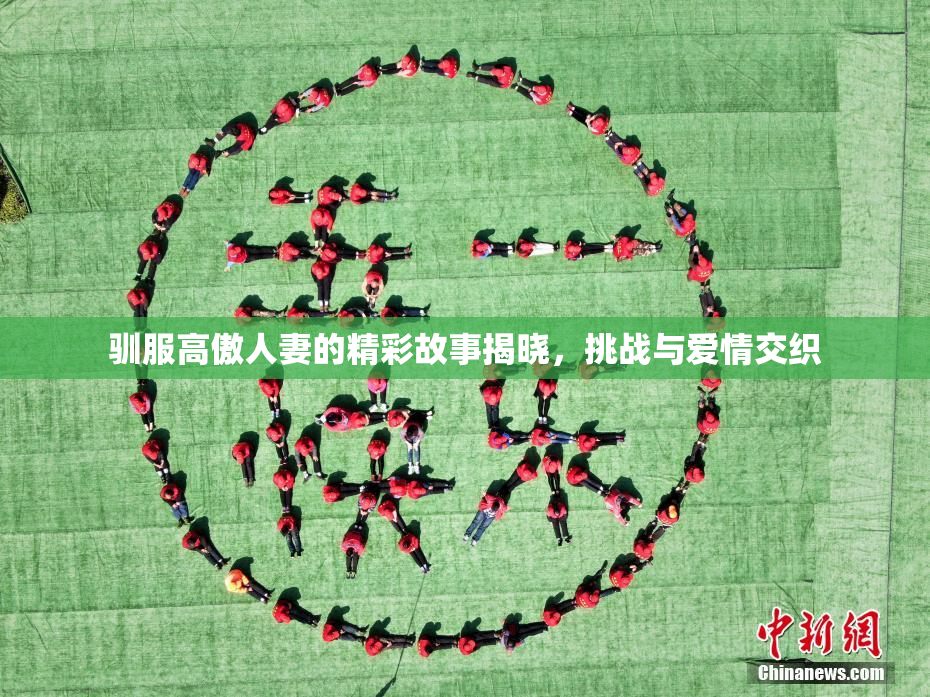 驯服高傲人妻的精彩故事揭晓，挑战与爱情交织