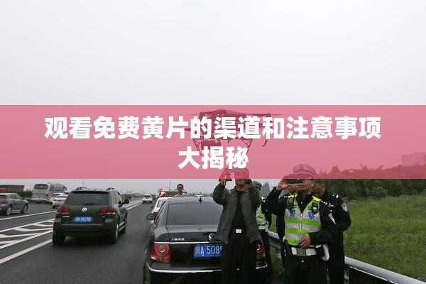 观看免费黄片的渠道和注意事项大揭秘