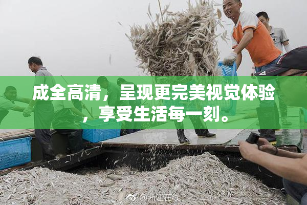 成全高清，呈现更完美视觉体验，享受生活每一刻。