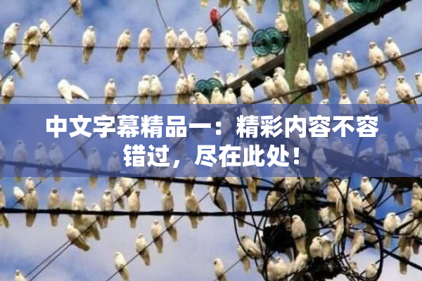 中文字幕精品一：精彩内容不容错过，尽在此处！