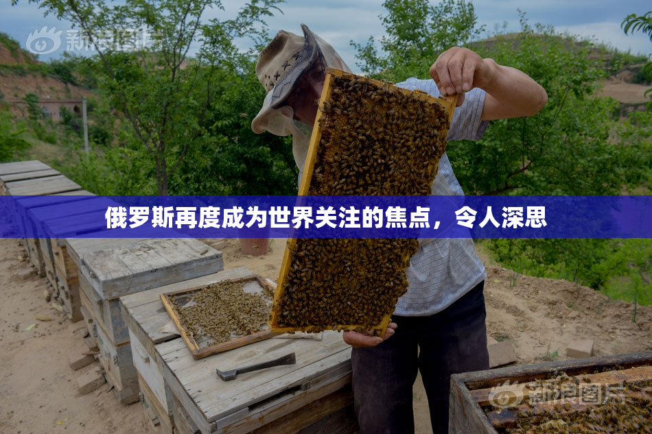 俄罗斯再度成为世界关注的焦点，令人深思