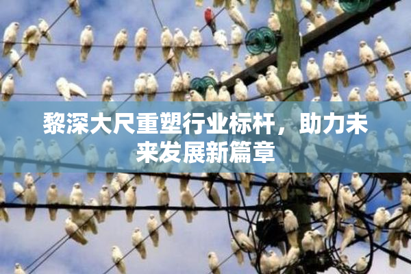 黎深大尺重塑行业标杆，助力未来发展新篇章