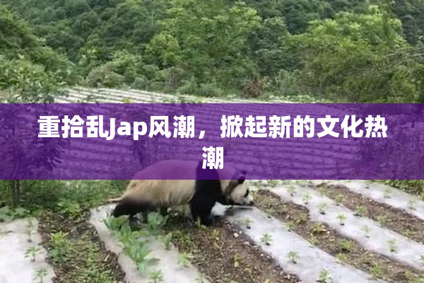 重拾乱Jap风潮，掀起新的文化热潮