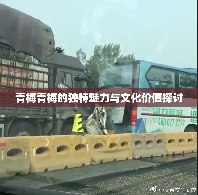 青梅青梅的独特魅力与文化价值探讨