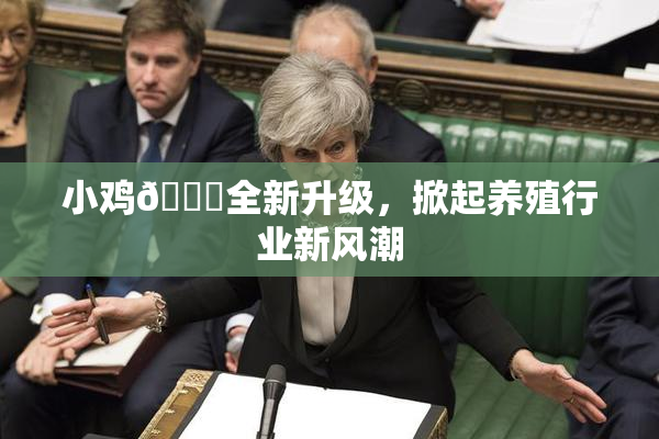 小鸡🐔全新升级，掀起养殖行业新风潮
