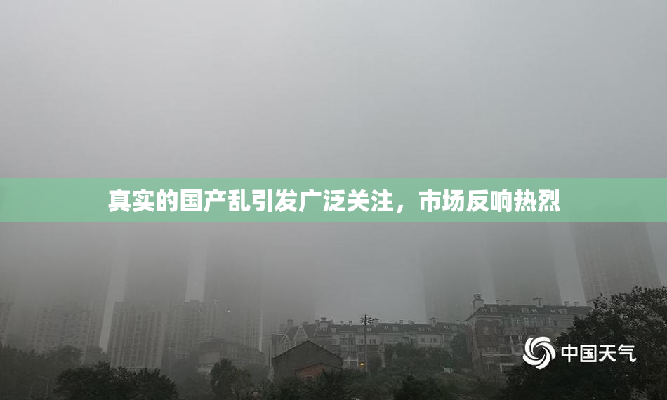 真实的国产乱引发广泛关注，市场反响热烈