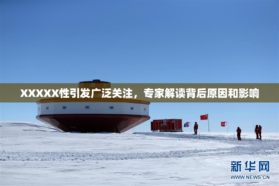 XXXXX性引发广泛关注，专家解读背后原因和影响