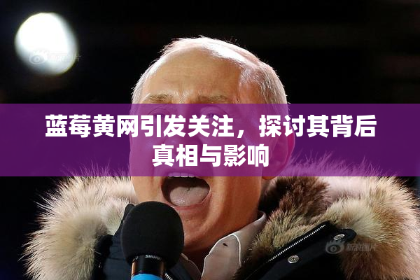 蓝莓黄网引发关注，探讨其背后真相与影响