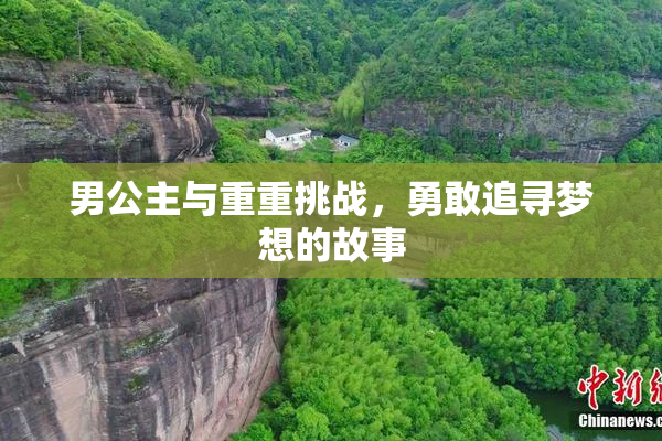 男公主与重重挑战，勇敢追寻梦想的故事