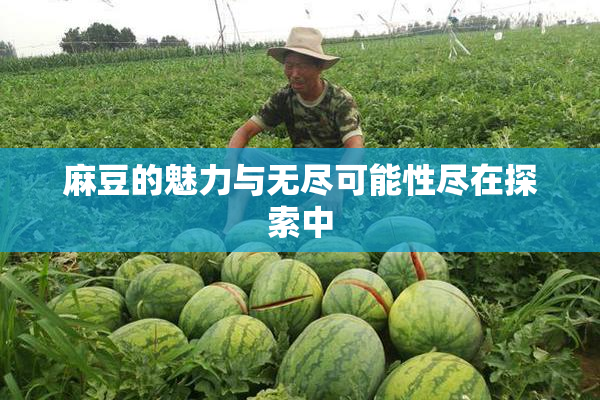 麻豆的魅力与无尽可能性尽在探索中