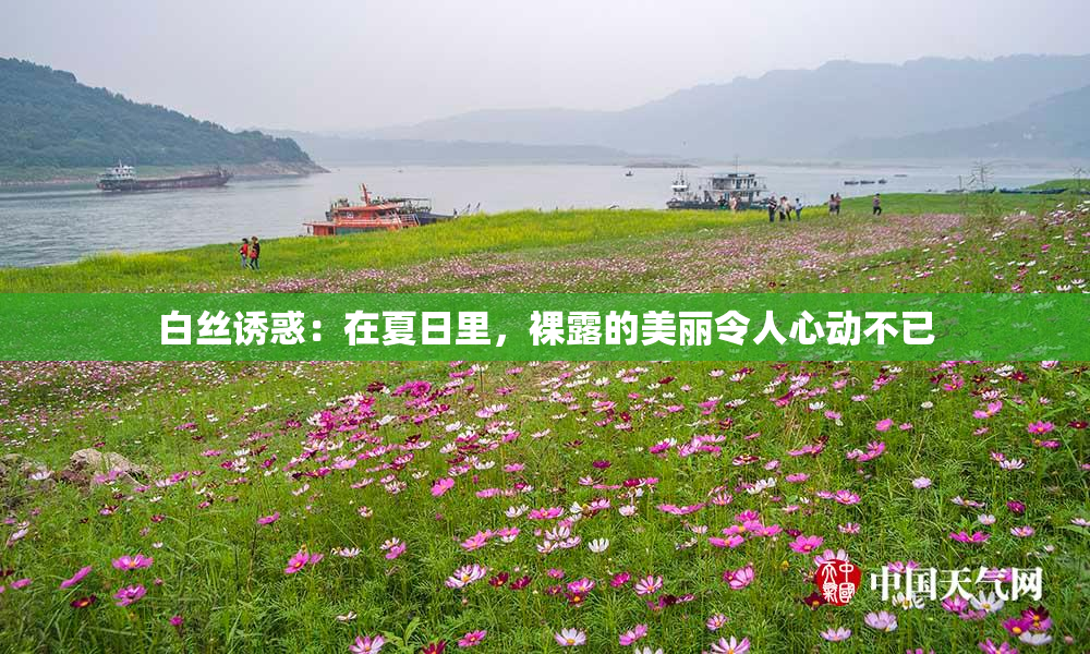 白丝诱惑：在夏日里，裸露的美丽令人心动不已