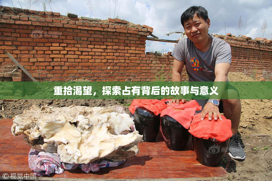 重拾渴望，探索占有背后的故事与意义