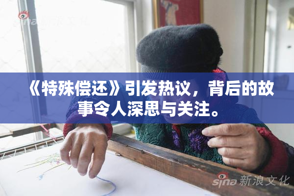 《特殊偿还》引发热议，背后的故事令人深思与关注。