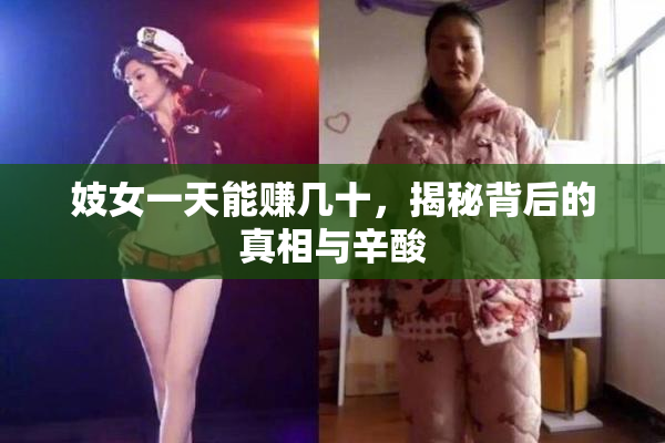 妓女一天能赚几十，揭秘背后的真相与辛酸