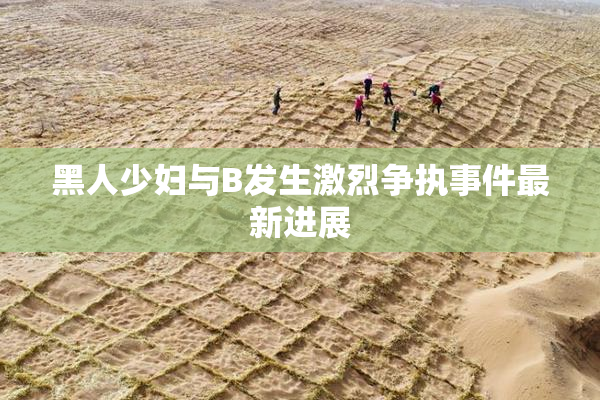黑人少妇与B发生激烈争执事件最新进展