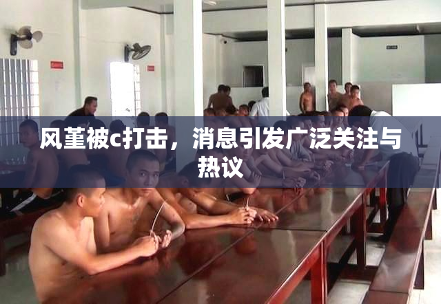 风堇被c打击，消息引发广泛关注与热议