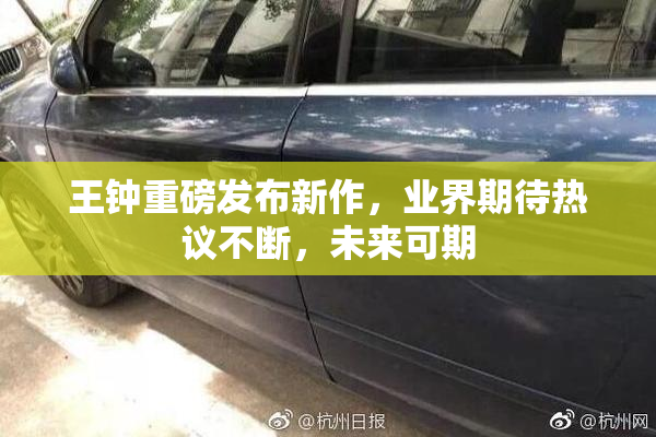 王钟重磅发布新作，业界期待热议不断，未来可期