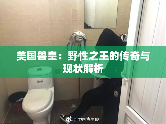 美国兽皇：野性之王的传奇与现状解析