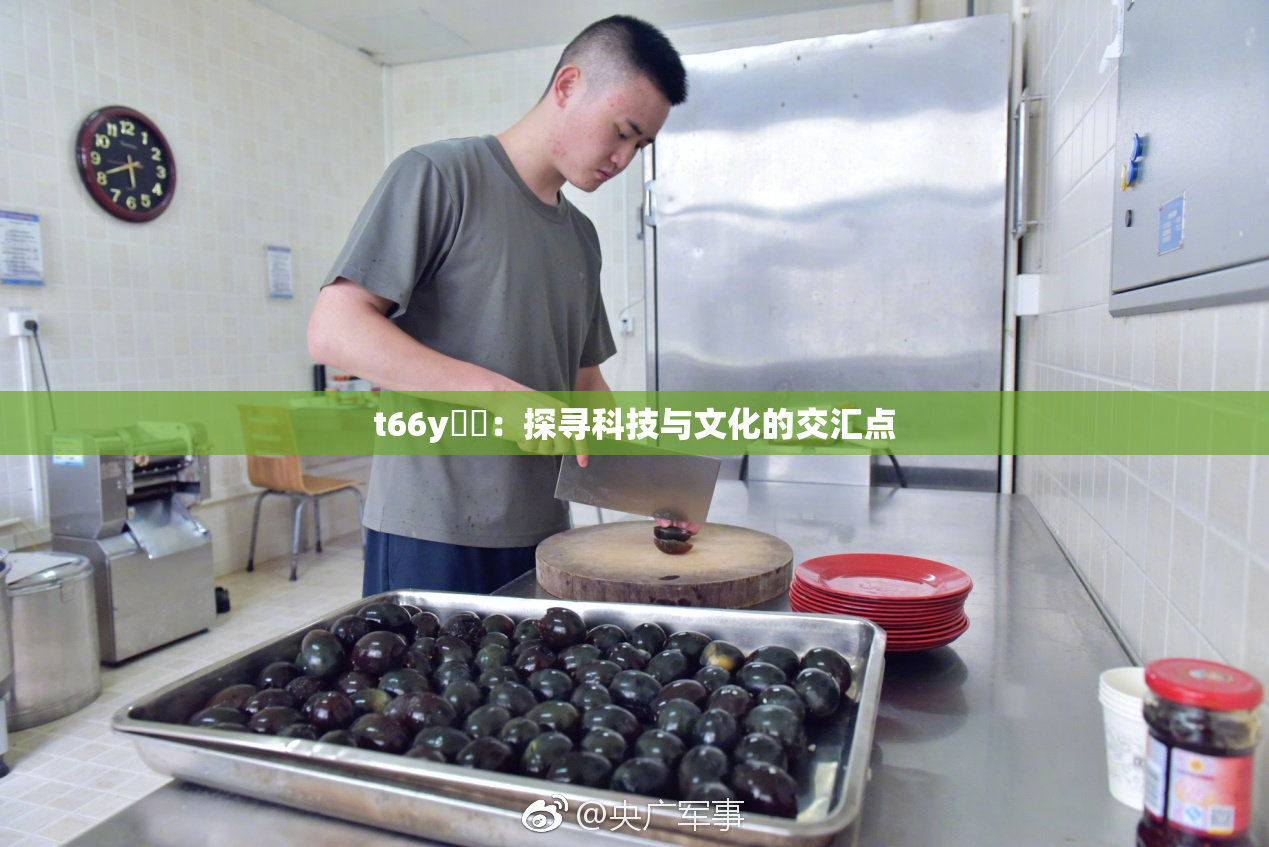 t66y逹葢：探寻科技与文化的交汇点