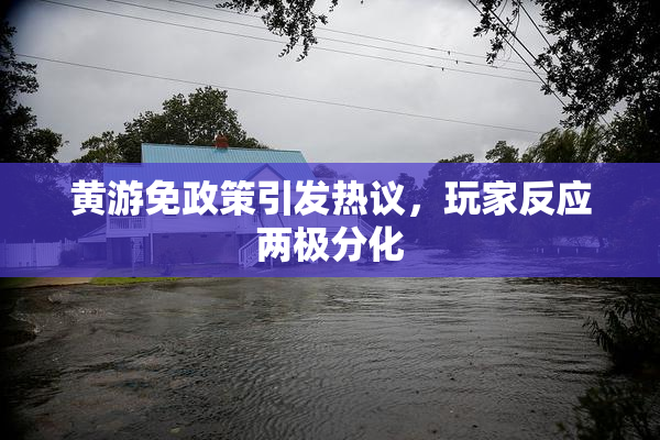 黄游免政策引发热议，玩家反应两极分化