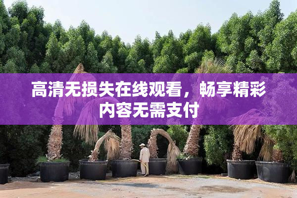 高清无损失在线观看，畅享精彩内容无需支付