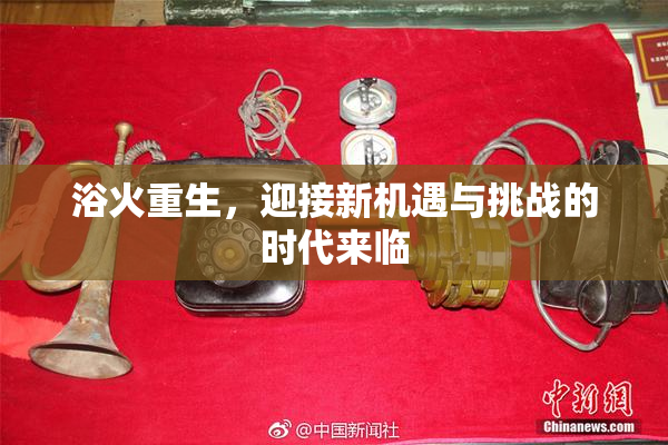 浴火重生，迎接新机遇与挑战的时代来临