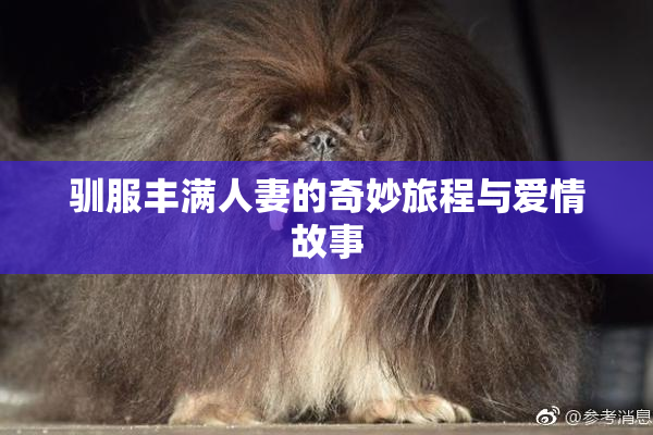 驯服丰满人妻的奇妙旅程与爱情故事