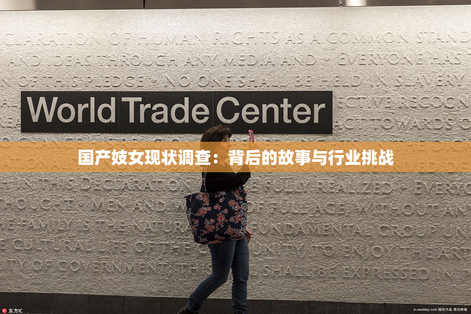 国产妓女现状调查：背后的故事与行业挑战